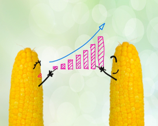 2 kukuřice si ukazují na rostoucí graf